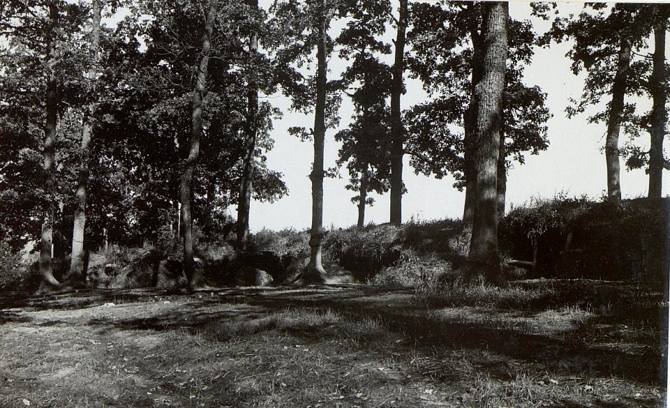 Kriegsalbum 107, Bild 32904 (BildID 15724998)