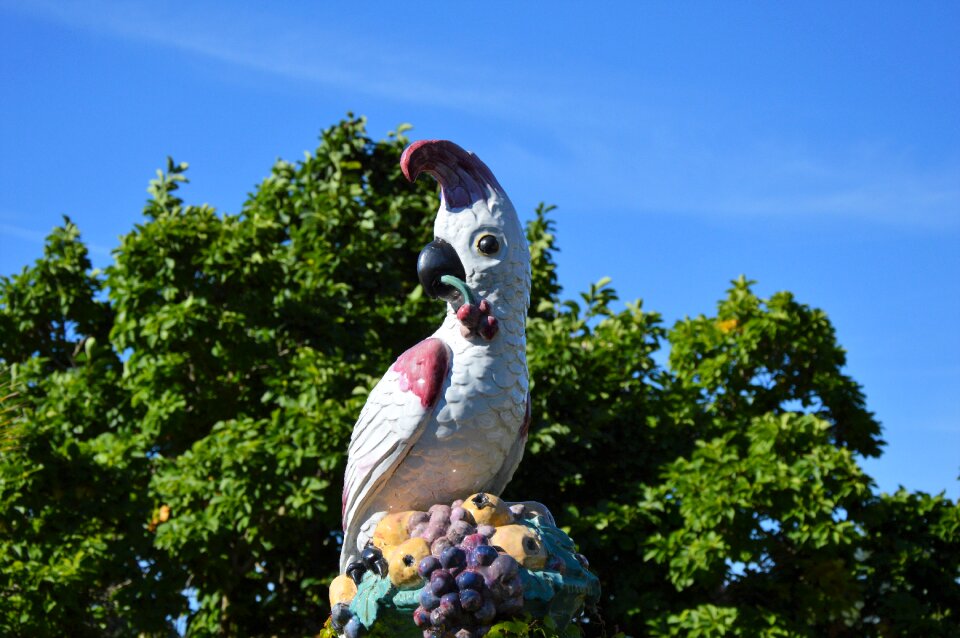 Animal decoration bird