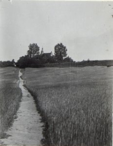 Kriegsalbum 107, Bild 33054 (BildID 15726048)