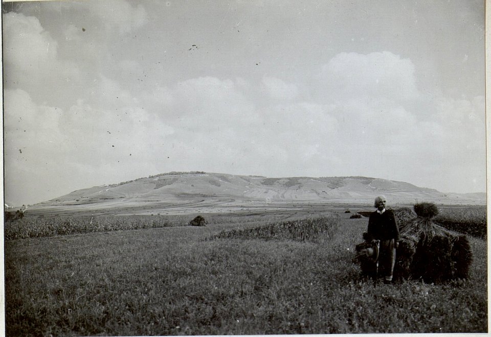 Kriegsalbum 107, Bild 33082 (BildID 15726244)