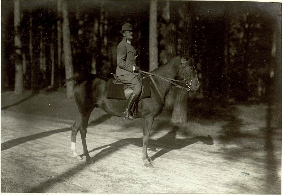 Kriegsalbum 29, Bild 7981 (BildID 15462162)