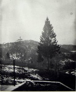 Kriegsalbum 108, Bild 33166 (BildID 15728638)
