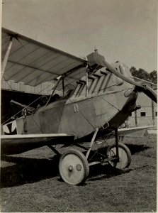 Kriegsalbum 36, Bild 9906 (BildID 15477779)