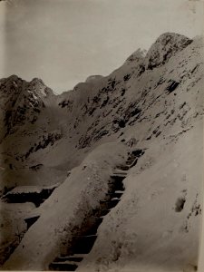 Kriegsalbum 38, Bild 10595c (BildID 15483840)