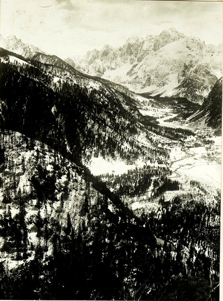 Kriegsalbum 40, Bild 11078b (BildID 15500099)