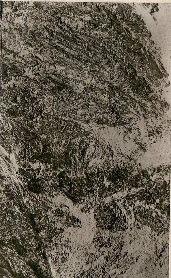 Kriegsalbum 42, Bild 11600f (BildID 15802890)