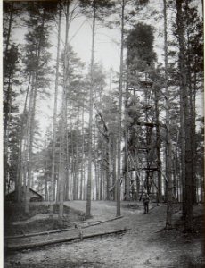 Kriegsalbum 107, Bild 32761 (BildID 15723995)