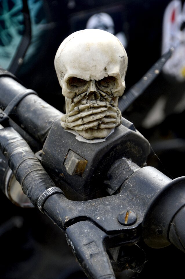 Skull skeleton gothic