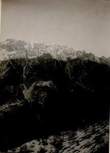 Kriegsalbum 45, Bild 12251a (BildID 15511354)
