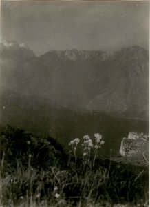 Kriegsalbum 47, Bild 12729a (BildID 15518019)