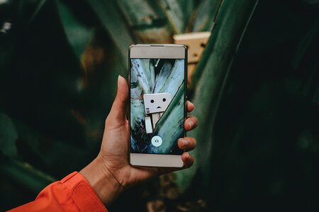Communication camera capture