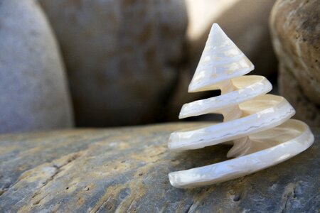 Sea mussel sea shell