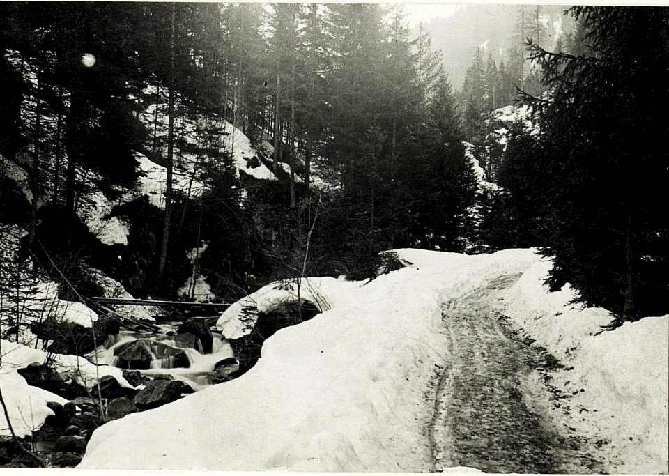 Kriegsalbum 67, Bild 19237 (BildID 15586212)