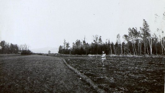 Kriegsalbum 108, Bild 33198 (BildID 15728862)