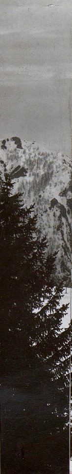 Kriegsalbum 88, Bild 25638b (BildID 15652887)