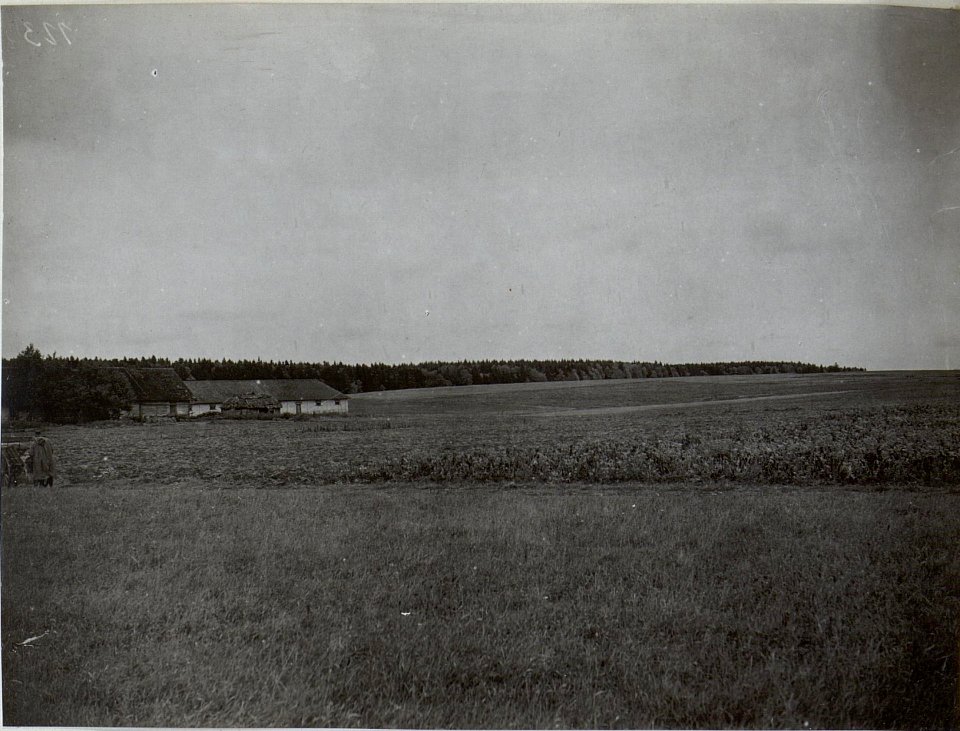 Kriegsalbum 89, Bild 26005 (BildID 15661353)