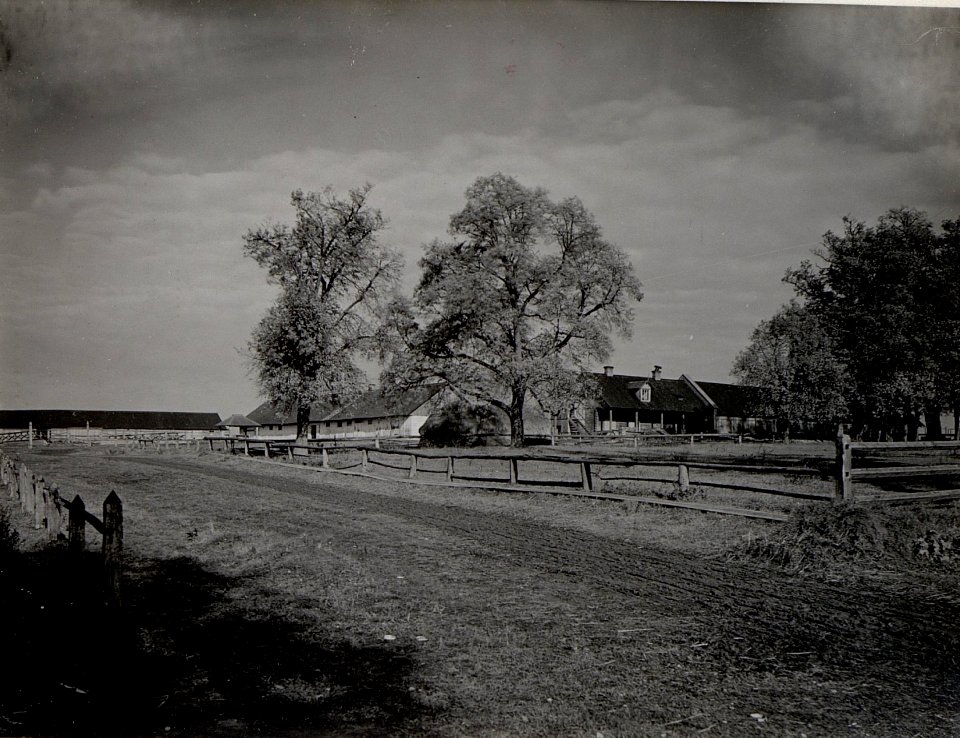 Kriegsalbum 89, Bild 26020 (BildID 15661517)