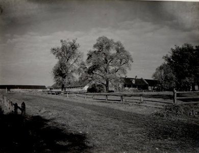Kriegsalbum 89, Bild 26020 (BildID 15661517)