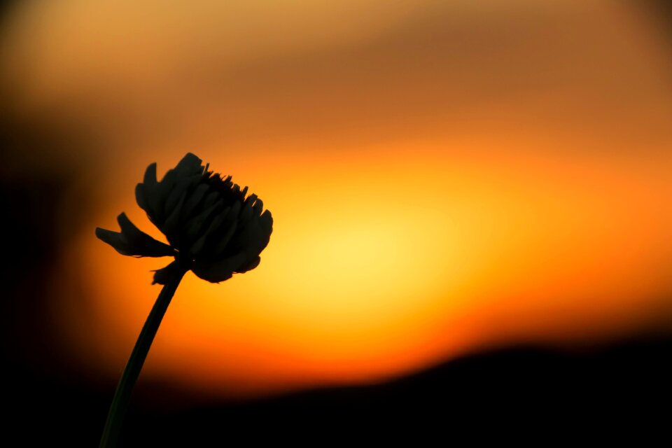 Nature afterglow abendstimmung