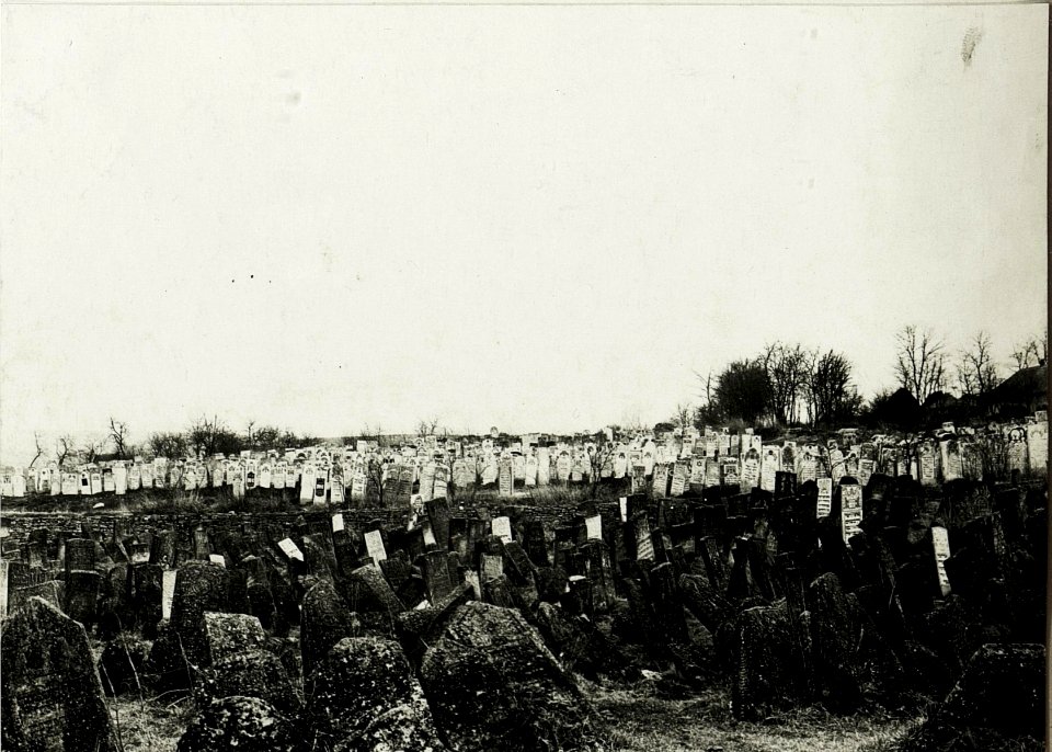 Kriegsalbum 19, Bild 4946 (BildID 15430491)