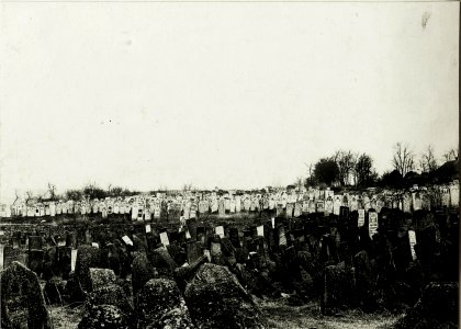 Kriegsalbum 19, Bild 4946 (BildID 15430491)