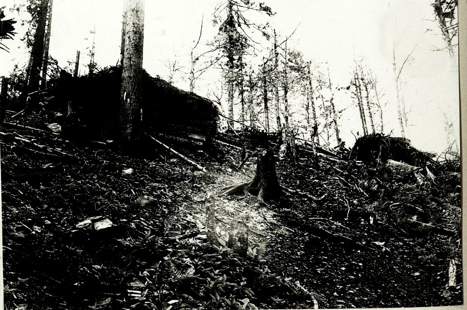 Kriegsalbum 19, Bild 4999 (BildID 15430869)