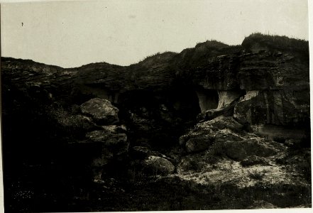 Kriegsalbum 20, Bild 5217 (BildID 15433687)