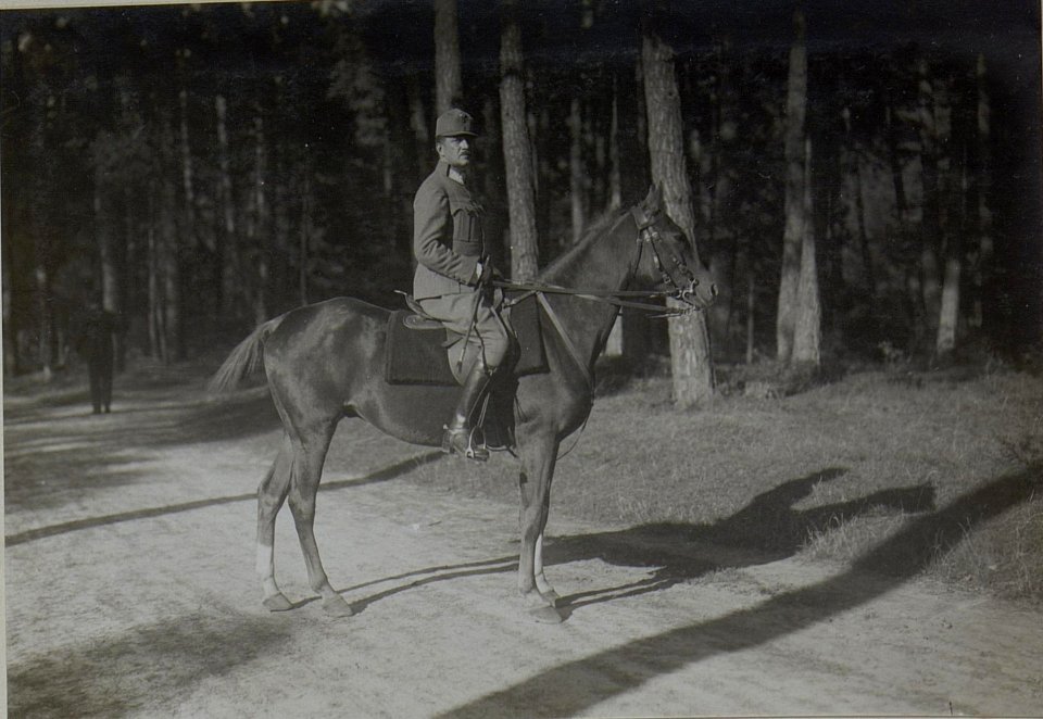 Kriegsalbum 28, Bild 7874 (BildID 15459233)