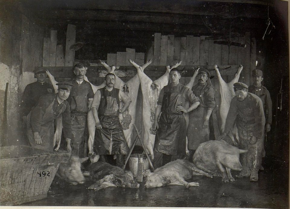Kriegsalbum 95, Bild 28319 (BildID 15680103)