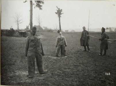 Kriegsalbum 95, Bild 28384 (BildID 15680558)
