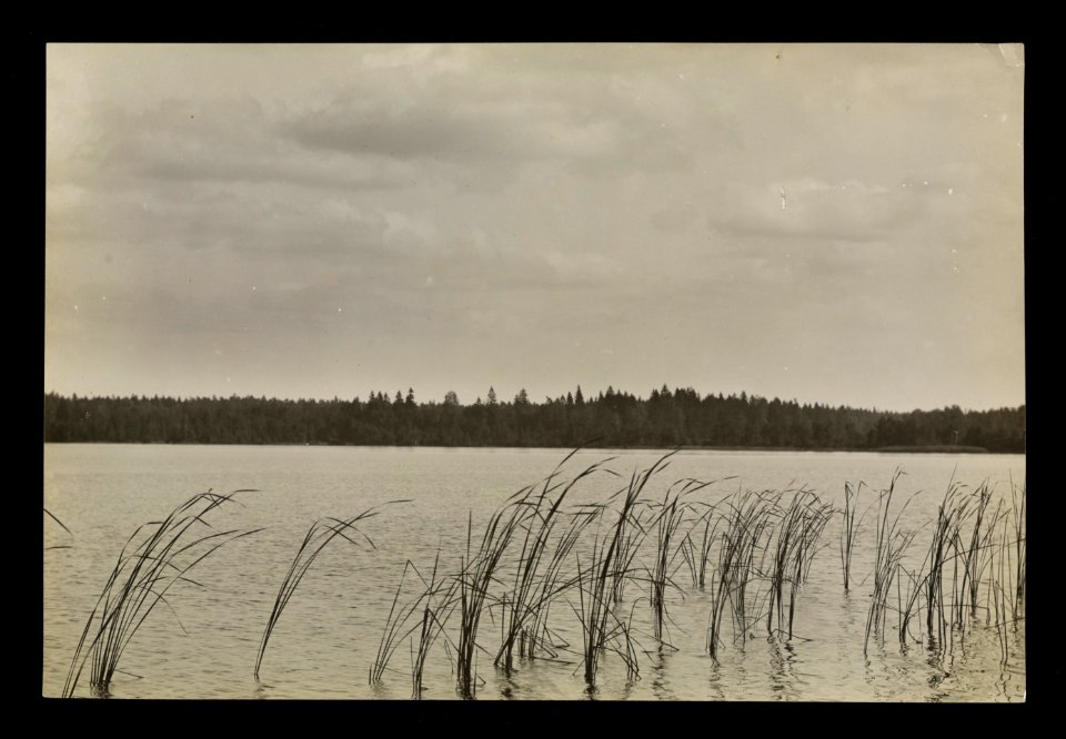 Kromań. Кромань (A. Visłocki, 1923)