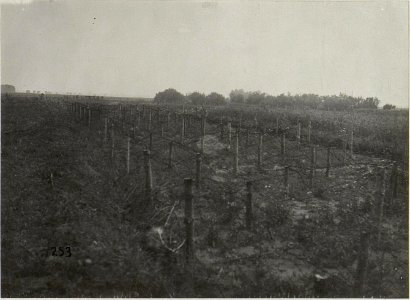 Kriegsalbum 95, Bild 28138 (BildID 15678836)