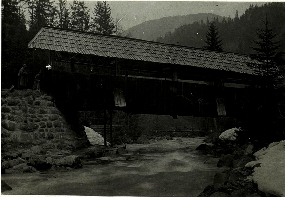 Kriegsalbum 67, Bild 19238 (BildID 15586219)