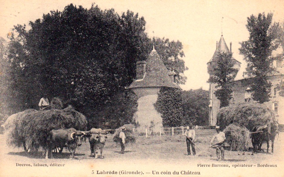 La Brède - château de Montesquieu 12