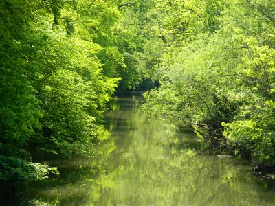 Landscape mood waters