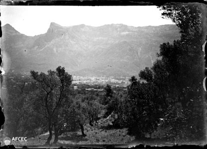 La ciutat de Sóller amb uns arbres en primer terme i muntanyes al fons