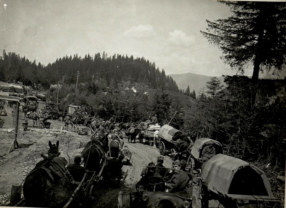 Kriegsfuhrwerke am Monte Rover. Aufgenommen am 8. Juni 1916. (BildID 15534441)