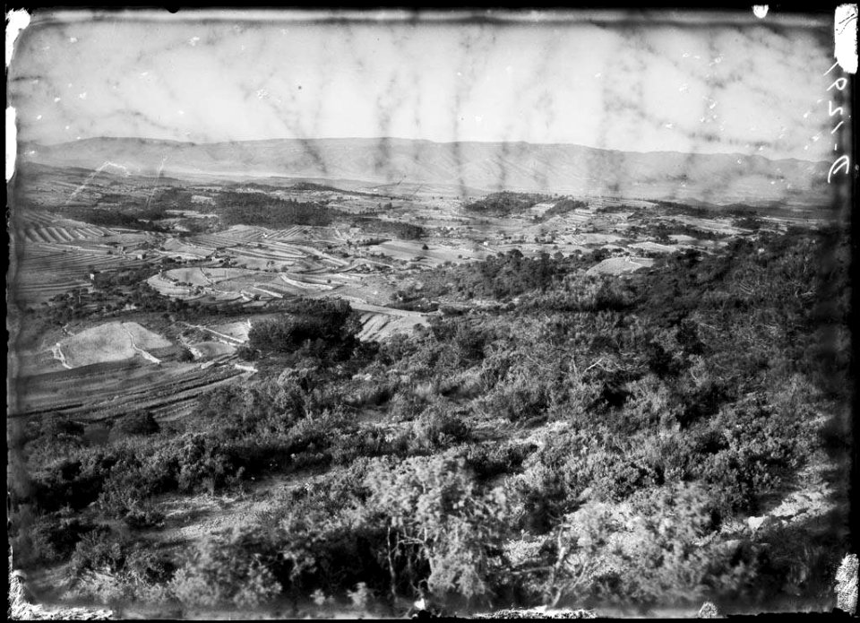 La Conca de Barberà des de la serra del Tallat