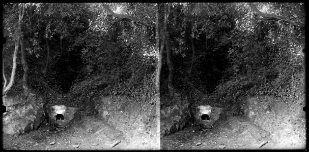 La font de la Llet de Sant Cebrià en un bosc (AFCEC BORDAS D 3740bis)