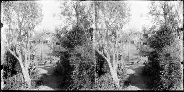 La font del Coll a la zona de Vallcarca