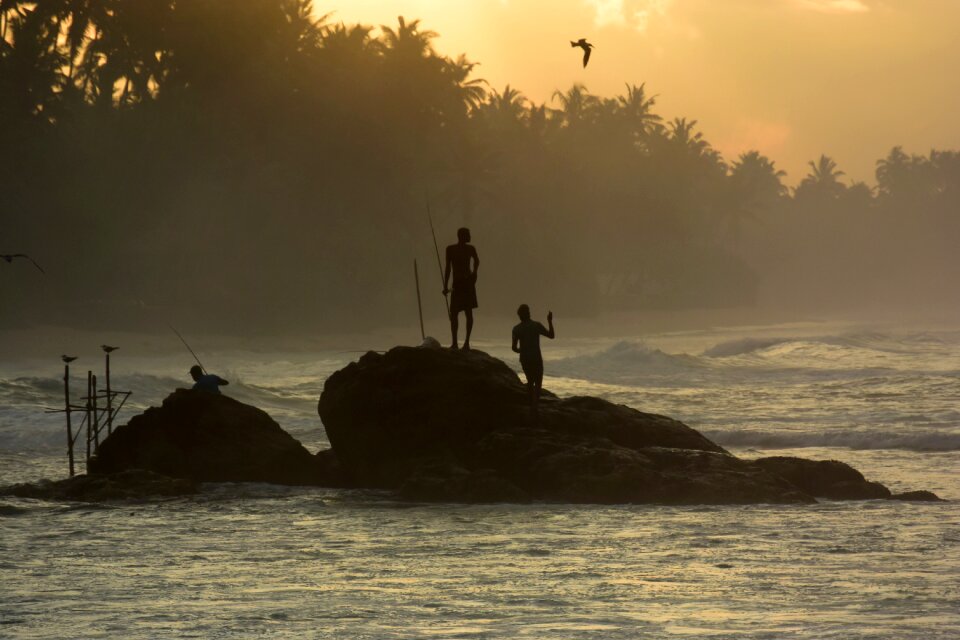 Sri lanka sea Free photos