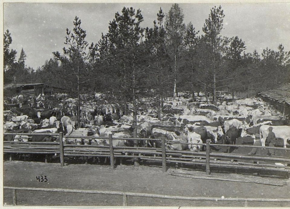 Kriegsalbum 95, Bild 28260 (BildID 15679690)