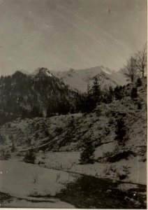 Kronhofgraben, Blick auf den Hohen Trieb, Etappenstraße + 1046. (BildID 15471499)