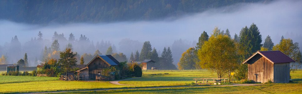 Autumn beginning autumn mood fog photo