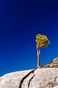 National park usa yosemite photo