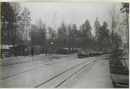 Kriegsalbum 99, Bild 29924 (BildID 15692546)