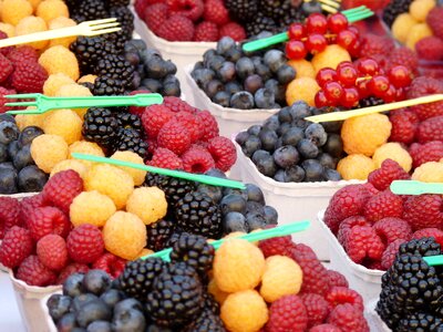 Market food raspberry photo