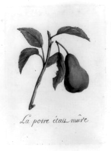 La Poire était mûre LCCN89710351