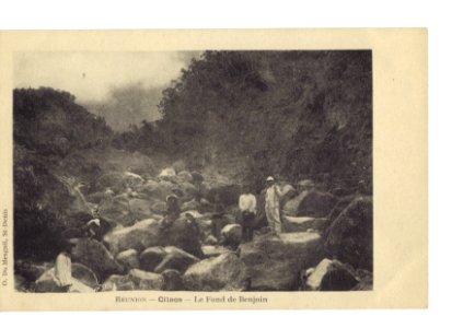 La Reunion le fond de Benjoin