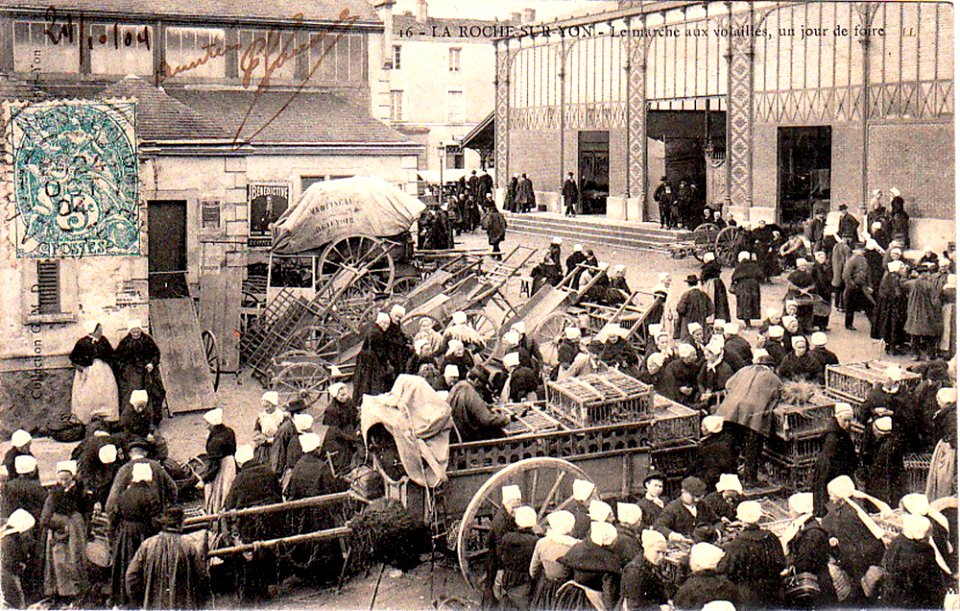 La Roche-sur-Yon Marché aux volailles